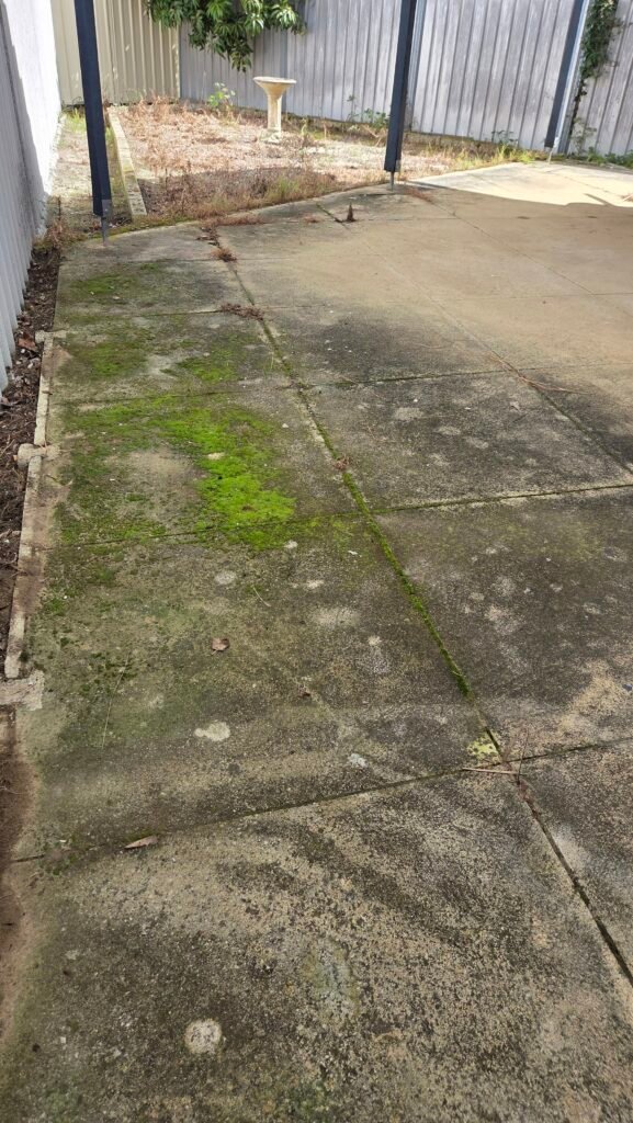 Moss algae covered concrete patio before pressure cleaning in Perth